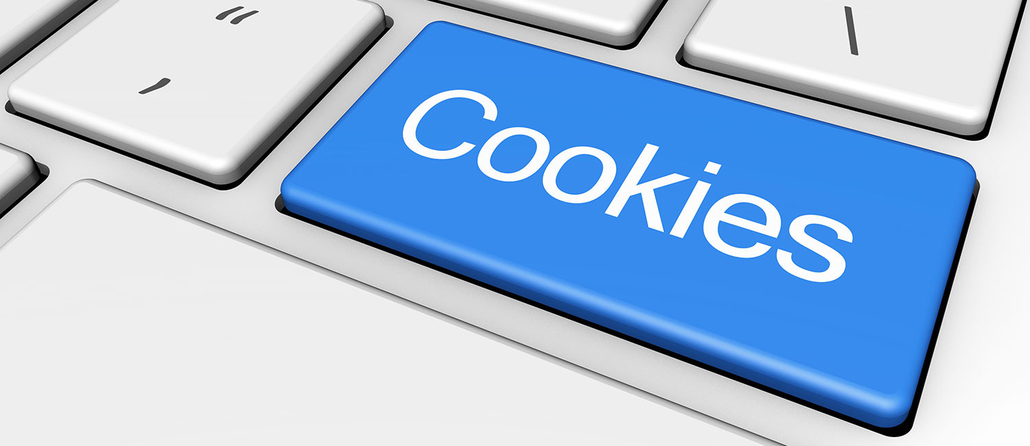 Website Cookie Policy for Budget Inn Jacksonville